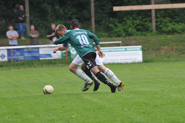 场拥有广泛 场拥有广泛