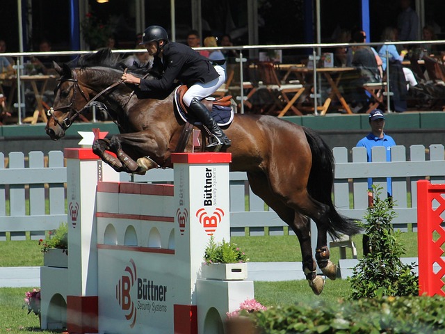 赛末段的梅 赛末段的梅