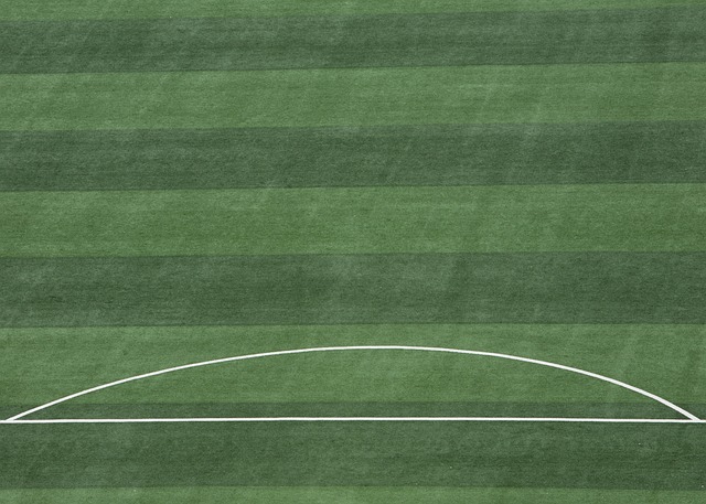 传播体育文 传播体育文