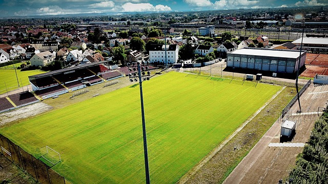 有望为球队 有望为球队