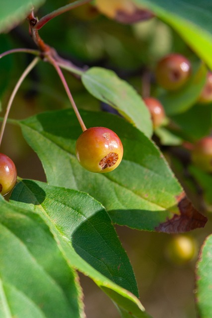 的健康问题 的健康问题