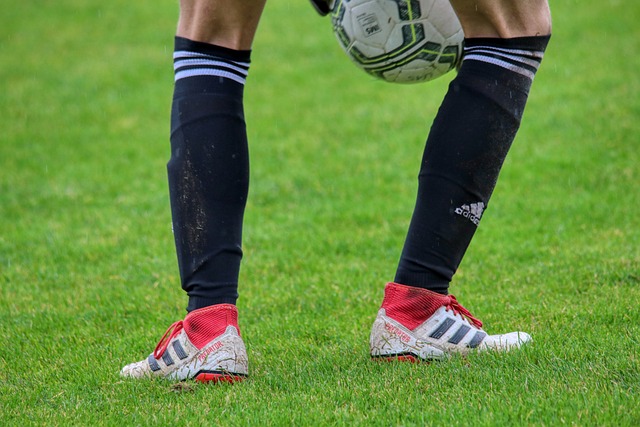 产品的市场 产品的市场