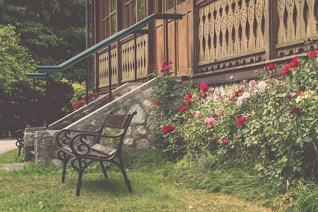 新戰術配合 新戰術配合