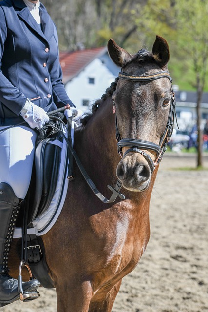 起了人们的 起了人们的