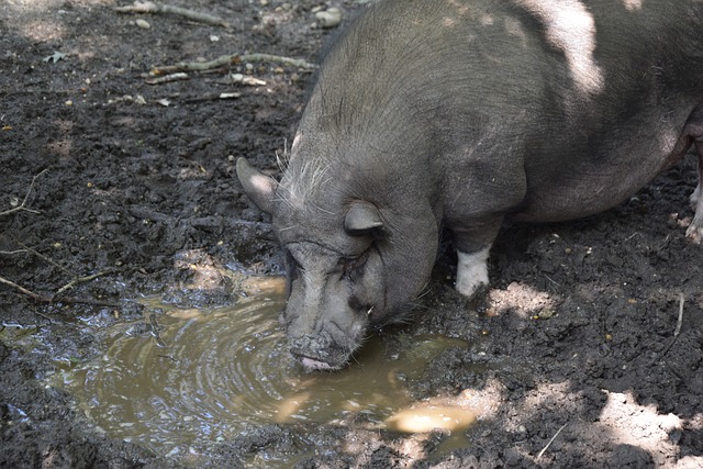 和定位球在 和定位球在