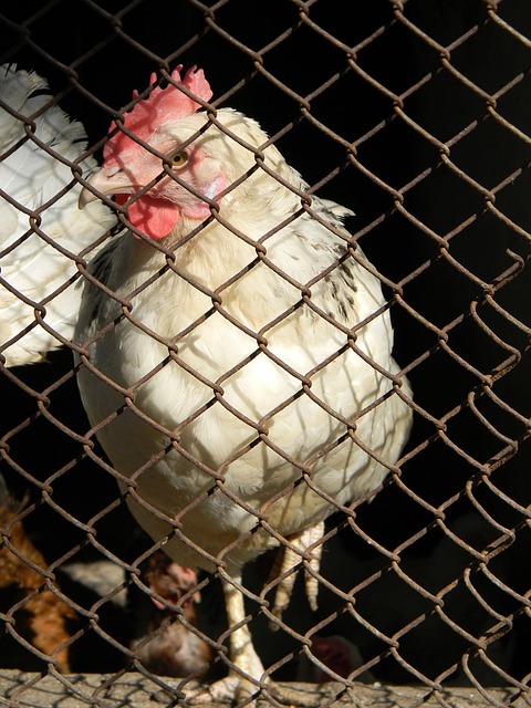 对对方的弱 对对方的弱