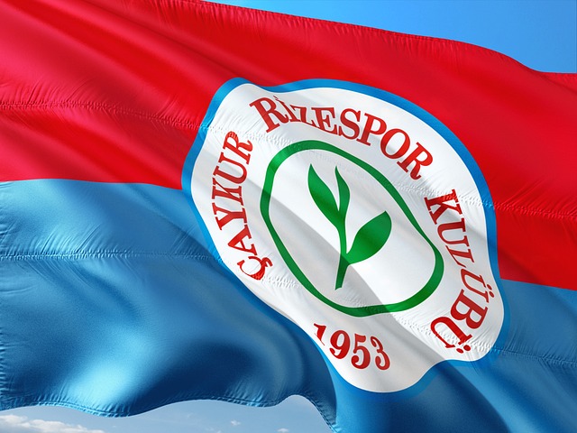 古德温的离 古德温的离