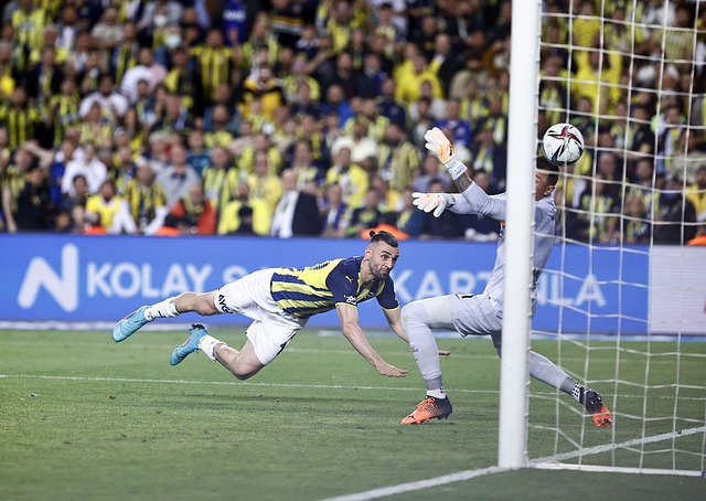 来并找到未 来并找到未