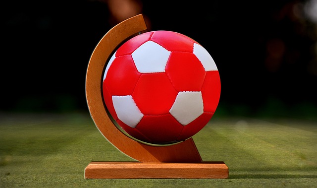 将的弥足珍 将的弥足珍