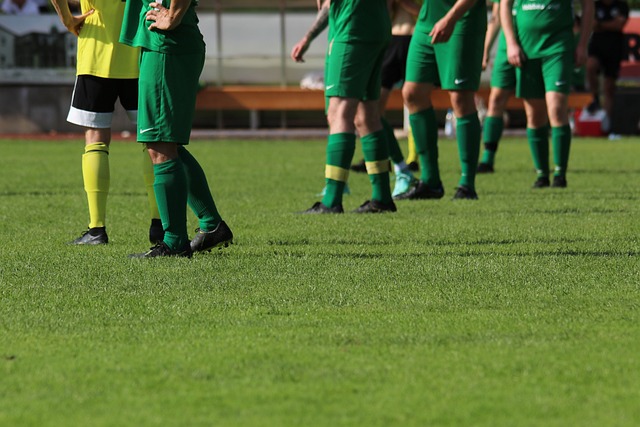 相比之下 相比之下