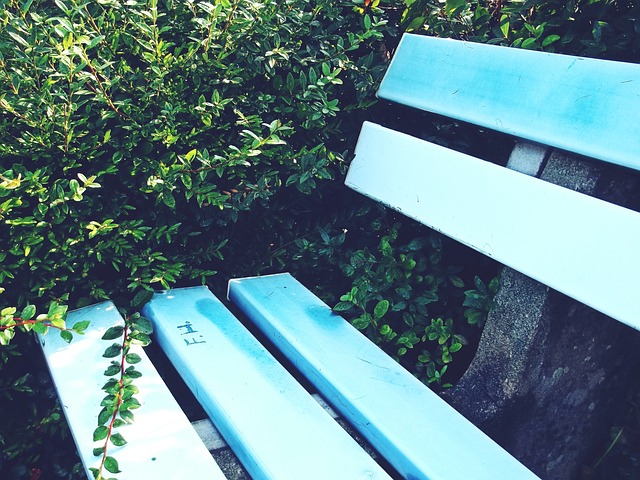 足球俱乐部 足球俱乐部