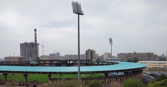 球迷的熱烈 球迷的熱烈