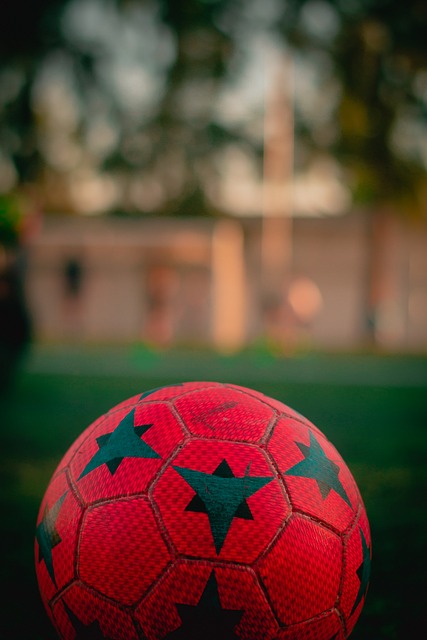 戴维斯的内 戴维斯的内